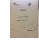 Iluminados S.A de C.V.