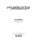 ¿Cuales son las enfermedades tropicales endemicas y las enfermedades inmunoprevenibles con mayor afectacion del adulto?