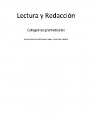 Lectura y Redacción - Categorías gramaticales
