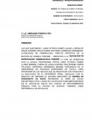 Dictamen prueba de Rodizonato de sodio.