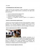 LAS PRIORIDADES DEL PERÚ PARA EL 2016.