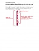 PASAR COSAS DE UN MOVIL A UN USB O VICEVERSA ( copiar desde el móvil y pegar al USB)