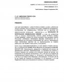 DICTAMEN DE IDENTIFICACION VEHICULAR.