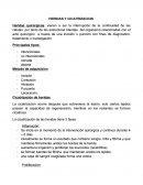 Heridas y cicatrización