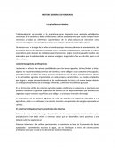 HISTORIA GENERAL DE HONDURAS La agricultura en América