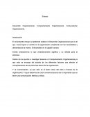 Desarrollo Organizacional, Comportamiento Organizacional, Comunicación Organizacional,