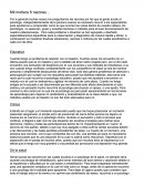 Mil motivos 6 razones...