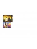 Cuál fue la mision de Jesús en este mundo?