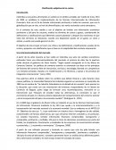 Clasificación subjetiva de los costos.