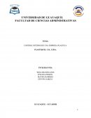 CONTROL INTERNO DE UNA EMPRESA PLASTICA.