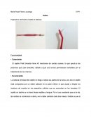 Marketing El cepillo Plak Smacker