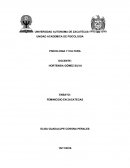 ENSAYO: FEMINICIDIO EN ZACATECAS