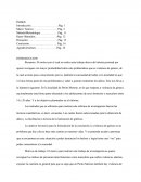 El motivo por el cual se realiza este trabajo deriva del interés personal por querer averiguar con mayor profundidad sobre esta problemática que es violencia de género,
