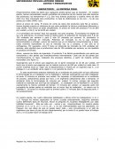 LABORATORIO: LA EMPRESA IDEAL.