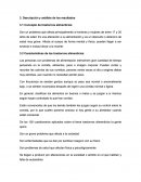 Descripción y análisis de los resultados