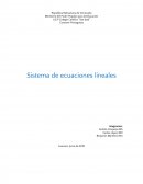 Sistema de ecuaciones lineales.