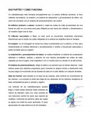 SUS PARTES Y COMO FUNCIONA
