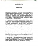 Ensayo sobre buro de credito