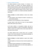 Políticas Contables Generales.