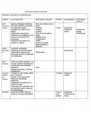 Estrategia global de mejora.