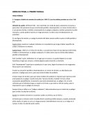 Derecho penal - primer parcial