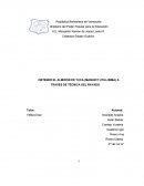 OBTENER EL ALMIDÓN DE YUCA (MANIHOT UTILLISIMA) A TRAVÉS DE TÉCNICA DEL RAYADO