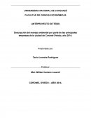 Descripción del manejo ambiental por parte de las principales empresas de la ciudad de Coronel Oviedo, año 2014.