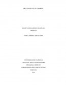 PROCESO DE PAZ EN COLOMBIA. Colombia afronta una guerra desde hace más de 50 años