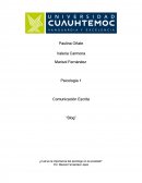 ¿Cuál es la importancia del psicólogo en la sociedad?