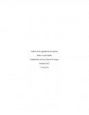 Análisis de seguridad de la empresa