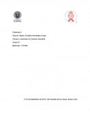 Tema: El terrorismo.