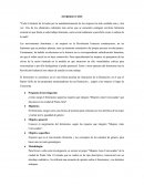 Origen del feminismo