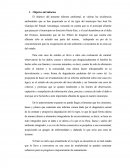 Valorar las incidencias ambientales que se han propiciado en el río tigre del municipio San José De Guanipa del Estado Anzoátegui