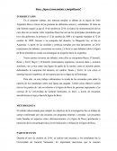 Roca, ¿figura transcendente o insignificante?