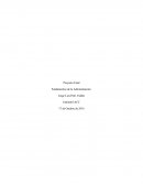 Proyecto Final Fundamentos de la Administración