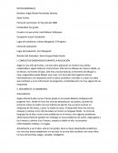 Informe HTP. Niño 8 años