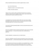 ELASTICIDAD DEMANDA PRECIO.