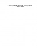 ATAQUES DE IONES DE CLORURO SOBRE LAS ESTRUCTURAS DE CONCRETO ARMADO