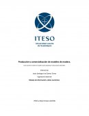 Producción y comercializaciónn de muebles de madera