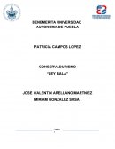 CONSERVADURISMO “LEY BALA”