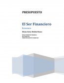 El Ser Financiero