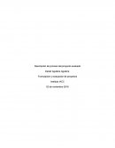 Descripción de proceso de proyecto evaluado