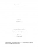BALANZA DE PAGOS. Metodología de estimación y fuentes de información