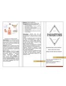 Prueba de toxoplasmina, inmunofluorescencia indirecta, prueba de ELISA