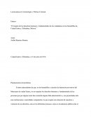 Derechos humanos en las Barandillas de ciudad Juárez