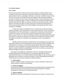 Riesgos psicosociales. Estrés y Burnout