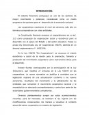 Ley de cooperativas Paraguay