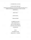 INVESTIGAR LOS HABITOS DE CONSUMO DE SEGURIDAD INDUSTRIAL DE LAS EMPRESAS INDUSTRIALES UBICADAS EN LA CIRCUNVALAR DE BARRANQUILLA.
