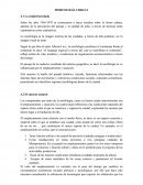 Xeografia MORFOLOGÍA URBANA