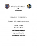 El Impacto de la migración en el mundo.